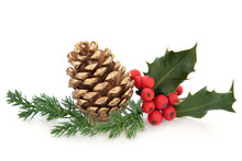Holly And Pine Cone Decoration