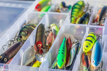 Set of fishing lures