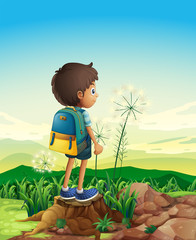 Poster - A boy with a backpack standing above a stump