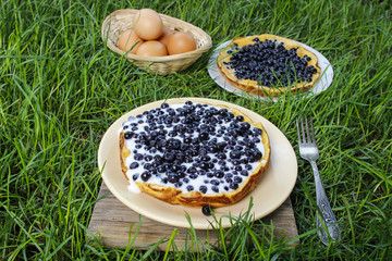 Canvas Print - Omelette with blueberries on grass. Garden party, summer food