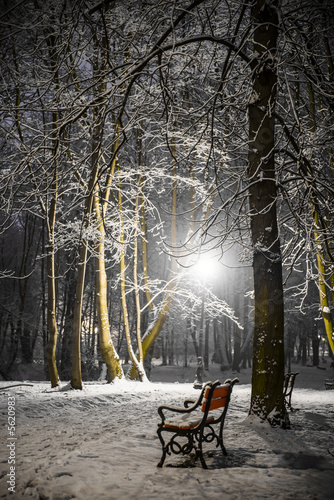 Obraz w ramie Red bench in the park