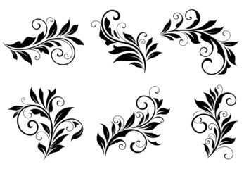 Wall Mural - set of floral design elements