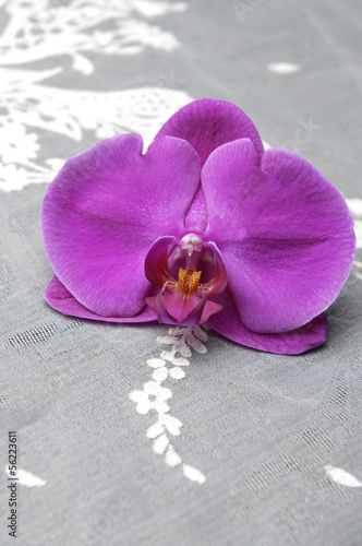 Naklejka dekoracyjna Beautiful pink orchid on the white lace