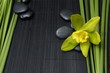 green orchid and green plant with stones on mat