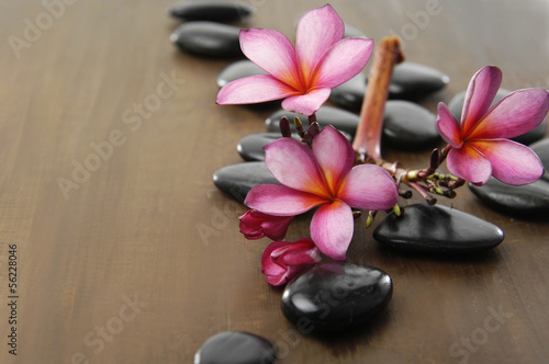 rozowe-kwiaty-plumerii-i-czarne-kamienie-zen-na-drewnianej-powierzchni