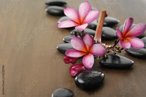 Naklejka na szybę Branch frangipani and zen stones on wooden board