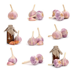 Wall Mural - Garlic on a white background.