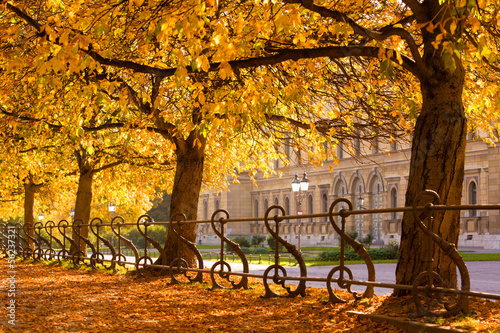 Board z aluminiowym obramowaniem Jesień w parkach w Monachium, Niemcy