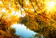 Herbstsonne am Fluss