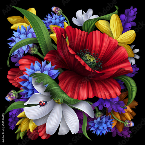 Fototapeta do kuchni cornflower, poppy, daisy rural flowers illustration