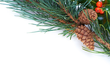 Wall Mural - christmas pine tree and holly