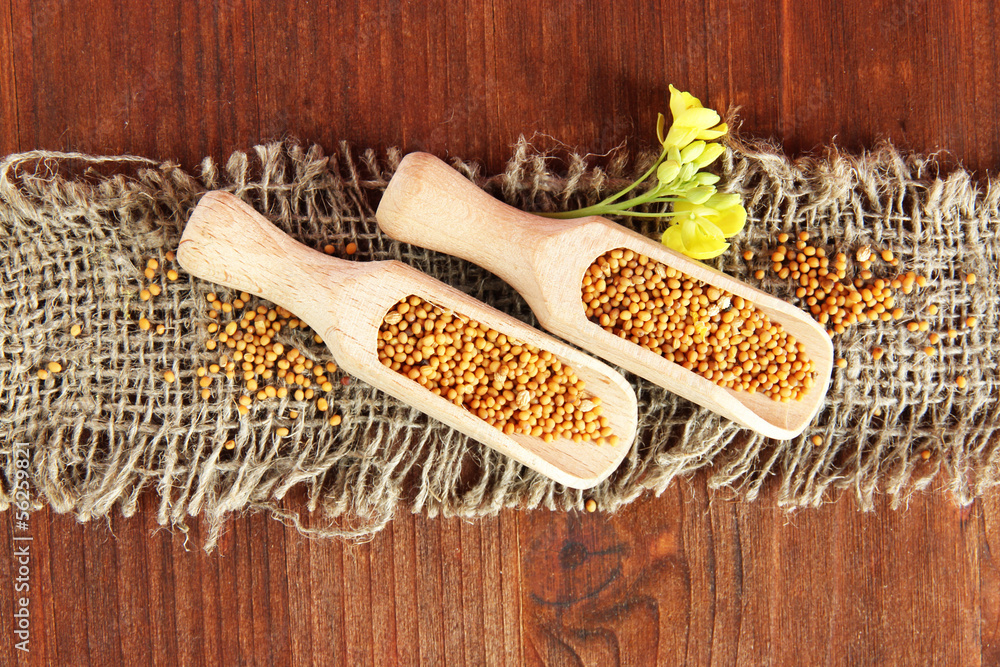 Mustard seeds with mustard flower on wooden background