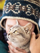 Woman Wearing Knit Hat Affectionately Holding Tabby Kitten