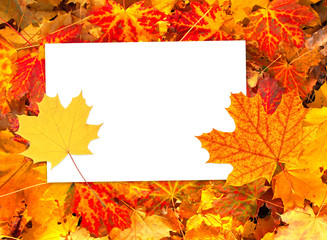 Sticker - Background with autumn leaves and paper