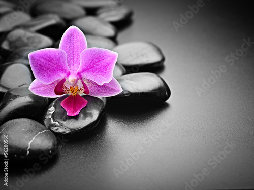 Board z aluminiowym obramowaniem Orchidea