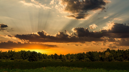 Wall Mural - sunset background