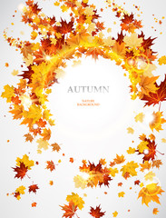 Wall Mural - abstract autumnal background with leaves