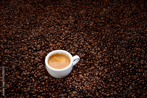 Tapeta ścienna Ziarna kawy z białą filiżanką espresso. 