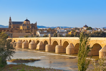 Wall Mural - Bridge at Cordoba Spain