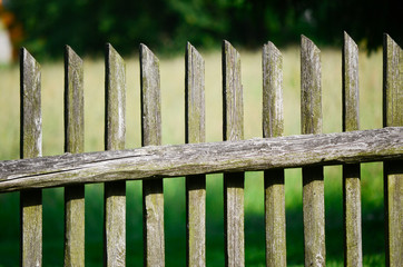 Wall Mural - old wooden fence