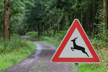 deer crossing sign