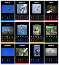 Birds Calendar For 2014