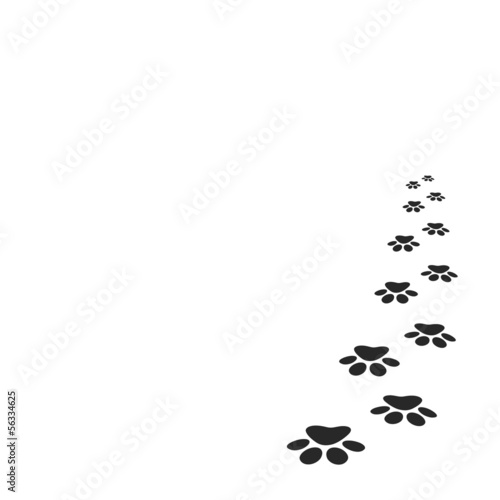 paw print background - Buy this stock vector and explore similar vectors at Adobe Stock | Adobe