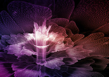 Abstract Fractal Flower Blossom