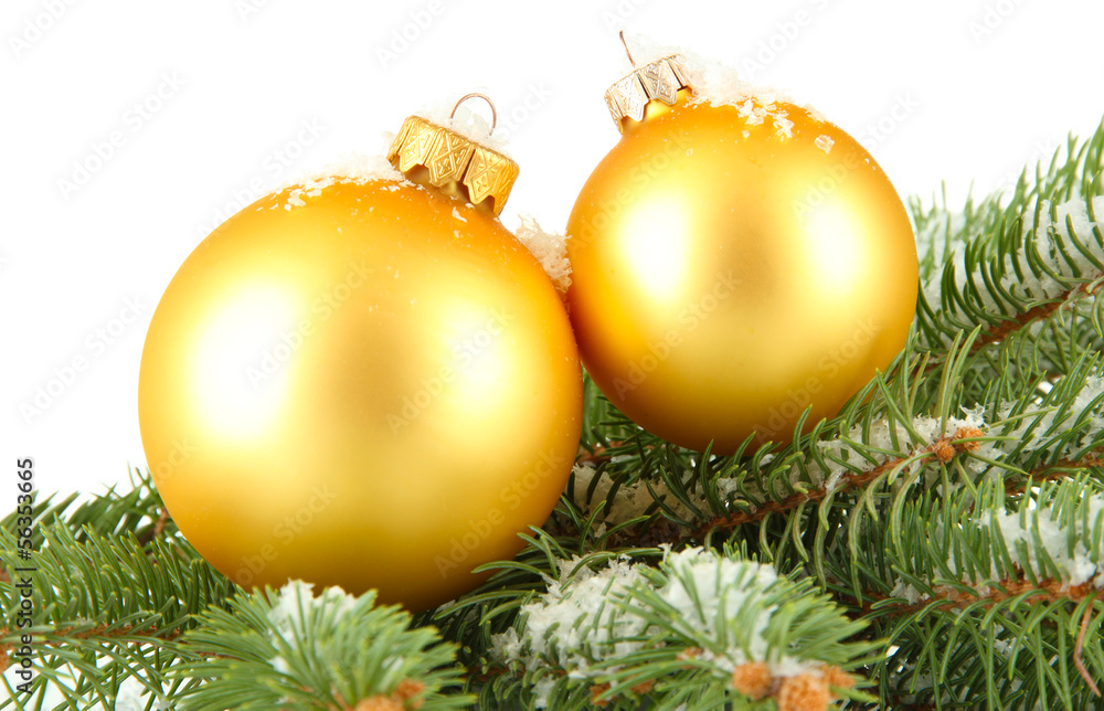 Christmas balls on fir tree with snow, isolated on white