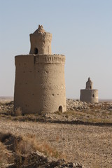 Poster - Pigeonnier en Iran