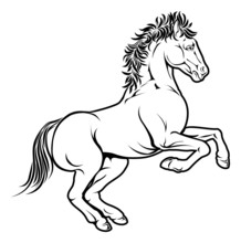 Stylised Horse Illustration
