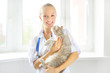 © Anton Maltsev - veterinarian with a scottish cat