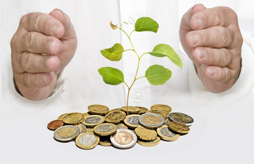 Investing to green business