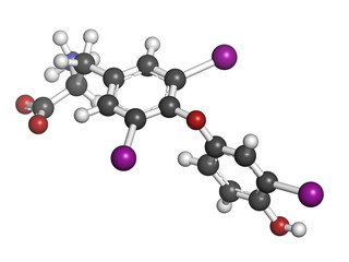 Wall Mural - Triiodothyronine hormone (t3, liothyronine) molecule