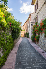 Wall Mural - Strada antica con fiori