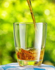 Wall Mural - Glass of apple juice on nature background