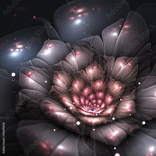 Naklejka dekoracyjna shadow abstract flower with pink details