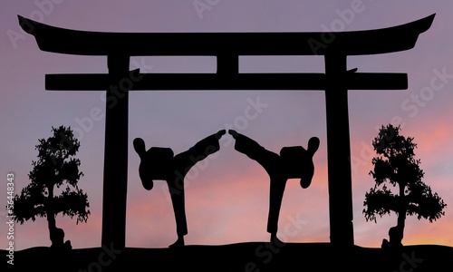 Board z aluminiowym obramowaniem Martial arts asia 8