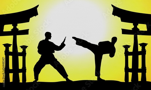 Board z aluminiowym obramowaniem Martial Arts Asia 10