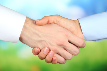 Wall Mural - Business handshake on bright background