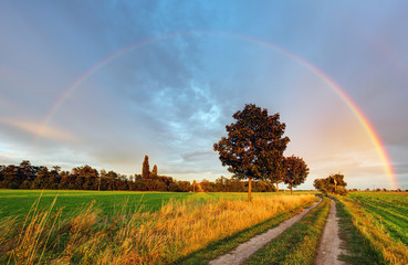 Poster - Rainbow over field road