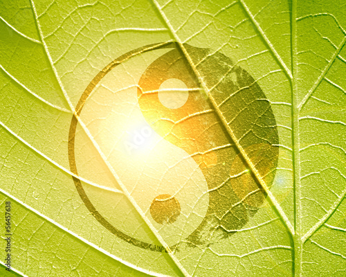 Board z aluminiowym obramowaniem Znak yin yang