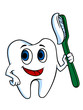 White tooth with tooth-brush