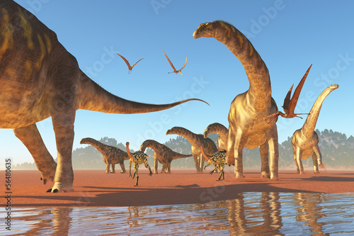 Fotoboard na płycie Stado argentinosaurus