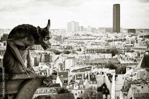 Board z aluminiowym obramowaniem Gargoyle Our Lady of Paris