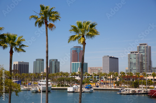 Naklejka samoprzylepna Long Beach California skyline z palmami portu