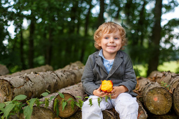 Wall Mural - Little toddler boy eating apple in summer forest