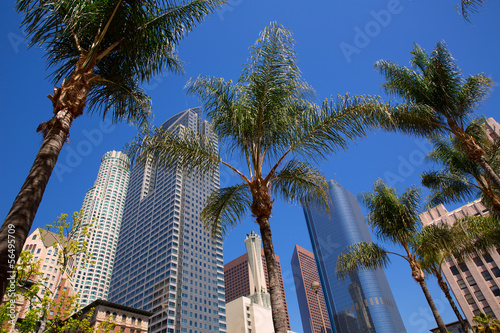Naklejka samoprzylepna La centrum los angeles pershing kwadratowy palmowy warkocz