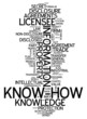 © mindscanner - Word Cloud 'Know How'