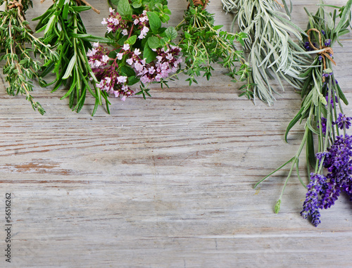 Nowoczesny obraz na płótnie fresh herbs